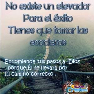 Meet your Posher, Nestor